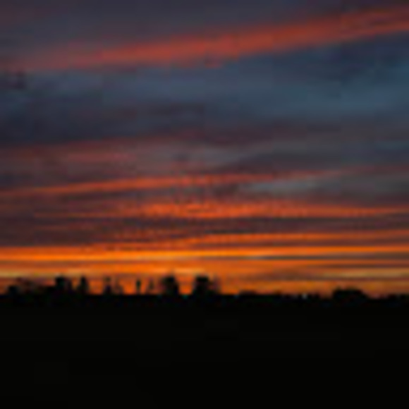 Meet your Posher, Grace - Picture 1 of 1